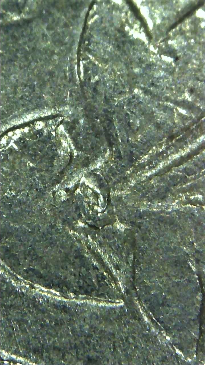 1990-D-Quarter-What-Is-This-Wrapped-Around-The-Stem-Of-The-Leaves?